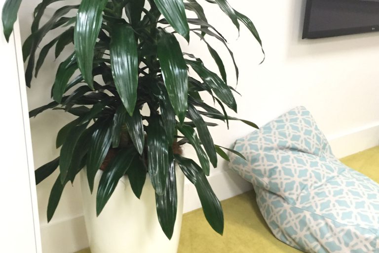 Green Scene Indoor Plant Hire