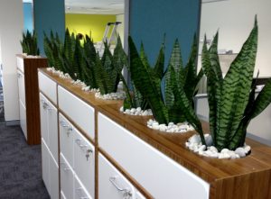 Tambour Unit in office in newcastle