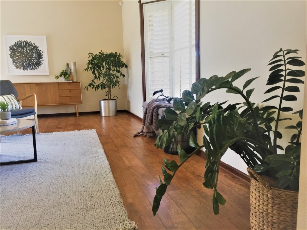 Short Term Indoor Plant Hire Newcastle Green Scene